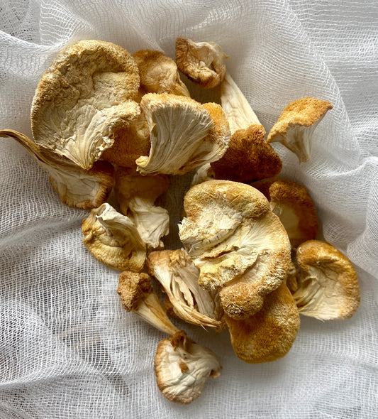 Dried Lion’s Mane