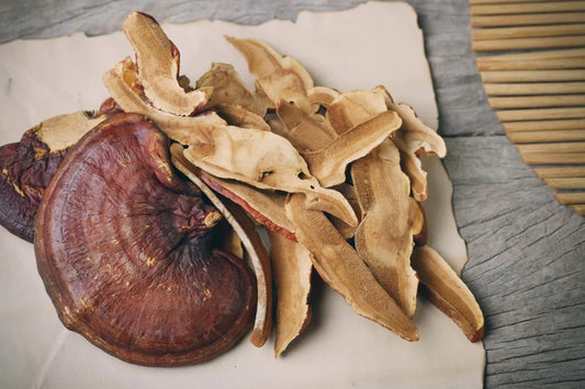 Dried Reishi